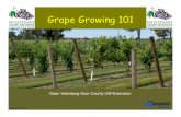 Grape growing 101 copy2.21.14 screen.ppt · 2017-07-17 · OH MY! • Cordon-permanent stem – Trained horizontally – Not all systems have cordons ... Weather dependent • Commercial