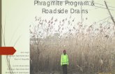 Phragmite Program & Roadside Drains · Phragmite Program & Roadside Drains Ken Vegh. Drainage Superintendent. Town of Kingsville. Lu-Ann Marentette. Drainage Superintendent. Municipality