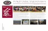 Pokégnek yajdanawa - Pokagon Band of Potawatomi Indians · 2 Pokgnek Yajdanawa g Zawbogya gises 2016 September 2016 y Pokgnek Yajdanawa 3 Traditional harvesters craft, gather sassafras