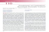 chapter 110 - Treatment of Castration-Resistant Prostate ...cloudfront.practiceupdate.net/putextbook/19691.pdf · specific antigen [PSA] level alone, new bone metastasis, visceral