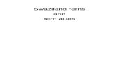 Swaziland ferns and fern allies - Home - SANBI€¦ · Swaziland ferns and fern allies. Southern African Botanical Diversity Network Report No. 19. SABONET, Pretoria. Published by