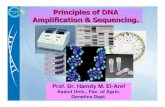 Principles of DNA Amplification & Sequencing. · bases along the 3-billion -base human genome. Approximately 5 million of the ~10 million human SNPs have been catalogued. SNPs may