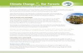 Climate Change Our Forests...1 Forests are a defining feature of the landscape in “the MassConn Woods” of northeastern Connecticut and south central Massachusetts. These natural