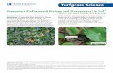 ENH1128 Turfgrass Science - EDISPennywort (Dollarweed) Biology and Management in Turf 1 Ramon G. Leon, Darcy E. P. Telenko, and J. Bryan Unruh2 Turfgrass Science Pennywort (Hydrocotyle