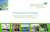 Empowering Civil Society - WordPress.comPresentation structure • Identity of ama • Development of the participation process in Mozambique −The Area following independence1975-1990