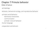 Order of lecture -primatology Chapter 7 Primate behavior · 2019-04-16 · Order of lecture-primatology-behavior, behavioral ecology, and reproductive behavior-primate social behavior: