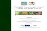 A NATIONAL ADAPTATION STRATEGY TO ADDRESS CLIMATE … · A National Adaptation Strategy to Address Climate Change in the Agriculture Sector in Belize 3 Acknowledgements and disclaimer