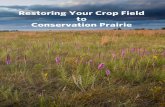 Restoring Your Crop Field to Conservation Prairie€¦ · Restoring your Crop Field to “Conservation Prairie” In this guide, you will learn the basic steps to restore a crop field