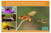 Management Recommendations for Native Insect Pollinators ... › huntwild › wild › wildlife...America north of Mexico. The European honey bee (Apis mellifera) is the most familiar