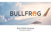 bullfrog fintechcredentials 2017 - Coverager® Inc. · Bullfrog Ventures LLC Innovations Incubator TM ©2017 Proprietary and Confidential What We Do Bullfrog Ventures has a straightforward