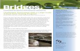 Bridges: Issue 17, Winter 2017 - APHL · Bridges Issue 17: Winter 2017 Inside this issue Challenges Associated with a Large-Scale School Lead Testing ... The Association of Public