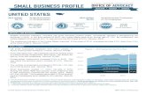 UNITED STATES - Small Business Administration › sites › default › files › advocacy › all...United States Small Business Proﬁle, 2016 3 SBA Ofﬁce of Advocacy I NTERNATIONAL