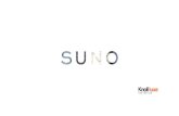 The SUNO Collection consists of seven for...The SUNO Collection consists of seven upholsteries and two draperies that have been inspired by recent looks from the runway. 4 “Max and
