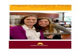 Program in Occupational Therapy€¦ · Program in Occupational Therapy Minimum Technical Standards ... of participation and thus enable engagement through adaptations and modifications