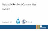 Naturally Resilient Communities - Amazon Web Services€¦ · Naturally Resilient Communities: Preparing for Sea Level Rise in Miami-Dade County Katie Hagemann ... • Climate Change