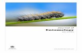Effect of Honey Bee Venom on Cancer in Rats Modeldocsdrive.com/pdfs/academicjournals/je/2016/72-83.pdf · Effect of Honey Bee Venom on Cancer in Rats Model 1Mohamed N. El-Bassiony,