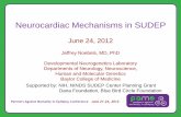 Neurocardiac Mechanisms in SUDEP - az9194.vo.msecnd.netaz9194.vo.msecnd.net/pdfs/120602/301.03.pdf · Neurocardiac Mechanisms in SUDEP June 24, 2012 Jeffrey Noebels, MD, PhD Developmental