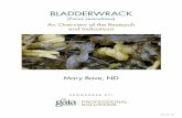 Bladderwrack: An Overview of the Research and Indications Research Review of Bladd… · Bladderwrack: An Overview of the Research and Indications BACKGROUND AND USES Fucus vesiculosus,