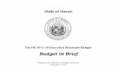 Budget in Brief · The FB 2017-19 Executive Biennium Budget Budget in Brief Prepared by the Department of Budget and Finance December 19, 2016. ... 2016 when both Moody's Investors