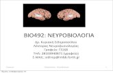 ΒΙΟ492:(ΝΕΥΡΟΒΙΟΛΟΓΙΑ › courses › BIOL-496_Neuroviologia › ... · Πρόγραμμα Διάλεξη Ημερομηνία Θέμα 1 Πέμπτη,(14(Φεβρουαρίου