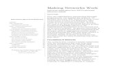 Making Networks Work - mass global action Networks Work.pdf · Making Networks Work Preliminary observations from NAFFE’s structured advocacy network1 Part I: Introduction Activists