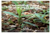 Establishing Seeded Bermudagrass on Lawns, Golf Courses or ... Establishing Seeded Bermudagrass on Lawns,
