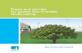 Trees and shrubs for power line-friendly landscaping: Bay ... › pge_global › common › pdfs › safety › ... · Many small tree species add curb appeal and help improve your