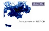 An overview of REACH · Overview of REACH requirements Registration Supply chain End use (pre-registration) Evaluation Authorisation Restriction. ... Facilitate compliance with COSHH