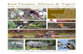 Red Pandas, Rhinos & Tigers - Naturalist Journeys · Pallas’s Fish-Eagle, Bengal Florican, Greater Grey-headed Fish-Eagle, Black-necked Stork, and difficult but possible Bristled