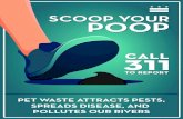 SCOOP YOUR SCOOP YOUR YOUR POOP call 311 POOP · SCOOP YOUR POOP PET WASTE BREEDS PESTS AND DISEASE up to $2,000 ﬁne SCOOP YOUR POOP SCOOP YOUR POOP SCOOP YOUR POOP 311call to report