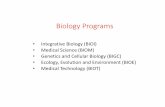 Biology Programs - SIUE · Core courses (required of all biology majors) BIOL 150 Introductory Biology I BIOL 492 Colloquium I BIOL 151 Introductory Biology II BIOL 492M Colloquium