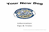 Information Tips & Tricks - Greenville County › acs › pdf › your_new_dog.pdf · • Do not allow children to excite the dog. • Do not give the dog a long-lasting food treat
