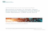 Business Cycles in Small, Open Economies: Evidence from ...€¦ · Bank of Canada Staff Working Paper 2016-48 November 2016 . Business Cycles in Small, Open Economies: Evidence from