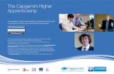 The Capgemini Higher Apprenticeship · The Capgemini Higher Apprenticeship The Capgemini Higher Apprenticeship is designed and delivered in partnership with QA, and is delivered for