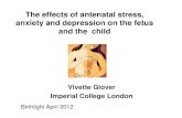 The effects of antenatal stress, anxiety and …...The effects of antenatal stress, anxiety and depression on the fetus and the child Vivette Glover Imperial College London Birthlight
