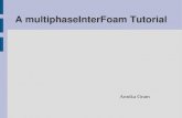 A multiphaseInterFoam Tutorial - Thermo › ... › presentationAnnikaGram.pdfmultiphaseInterFoam based on the VOF method Gamma incompressible multi phase transient