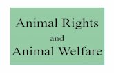 Animal Rights - Manchester UniversityStrong Animal Rights: (Regan’s position) Rights are extended to all mammals older than one year (and various other animals) because of their