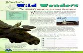 Alaska's Wild Wonders · What is the difference between antlers . and horns? Antlers grow new each year after being shed or dropped while horns remain in place and continue to grow