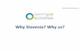Why Slovenia? Why us? - OER Regional Consultationsrcoer.col.org/uploads/2/2/8/4/...and_apps_for_oer.pdf · Mass content missing mass use 3 0 100 200 300 400 500 600 700 800 900 1000