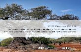 Sustainability Reporting Disclosures In accordance …...EIB Group 2019 Sustainability Reporting Disclosures In accordance with the GRI Standards EIB Group 2019 Sustainability Reporting