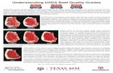 Understanding USDA Beef Quality Grades - Meat …...Understanding USDA Beef Quality Grades Ungraded or “No Roll” beef. Carcasses that do not qualify for USDA Prime, Choice or Select