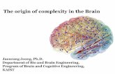 The origin of complexity in the Brain - KAISTraphe.kaist.ac.kr/lecture/2018springbis525/(Brain Dynamics 01... · • The complexity of a physical system or a dynamical process expresses