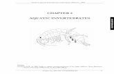 CHAPTER 2 AQUATIC INVERTEBRATES...|11 AQUATIC INVERTEBRATES Aquatic invertebrates can be found in nearly any habitat from small temporary pools to large lakes and small springs to