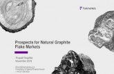 Prospects for Natural Graphite Flake Markets › pdf › Fast-market-Graphite-Market-report.pdfGlobal batteries market growth between 2017-2022 7 Global natural flake graphite consumption