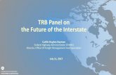TRB Panel on the Future of the Interstate Fr… · delivery. • International trade balances could shift from imports toward exports, but overall globalization will increase, straining