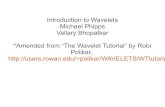 Introduction to Wavelets Michael Phipps Vallary Bhopatkar ...dmitra/SciComp/13Spr/VM-Wavelets.pdf · Computation of Continuous Wavelet Transform After choosing the mother, computation