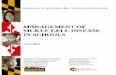 Management of Sickle Cell Disease in Schools · Services Guideline – Management of Sickle Cell Disease in Schools (Guideline) ... children with sickle cell disease. The document