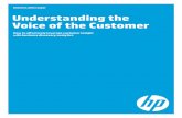Understanding the Voice of the Customer - NDM Technologies · Business white paper | Understanding the Voice of the Customer Table of contents 3 Today’s diverse brand interactions