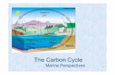 OekoIV Vorlesung1 carboncycle.ppt …...The Carbon Cycle - Reservoirs Reservoirs in 1015 g At hAtmosphere 760 Ocean 38,400 (as DIC) LandbiotaLand biota 600 Marine biota 3 SoilorganicmatterSoil