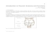 Introduction to Thyroid: Anatomy and Functions › pdfs › 31300 › InTech...Introduction to Thyroid: Anatomy and Functions 5 With these transcription factors working together, follicular